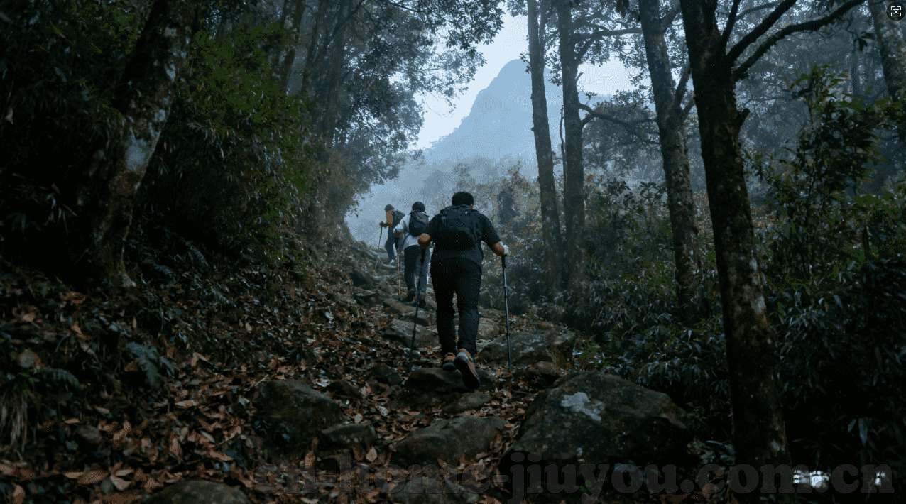 德州扑克 频率-德州扑克，掌握频率的艺术